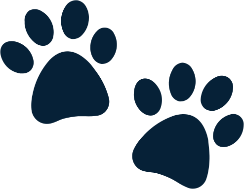 paws-blue